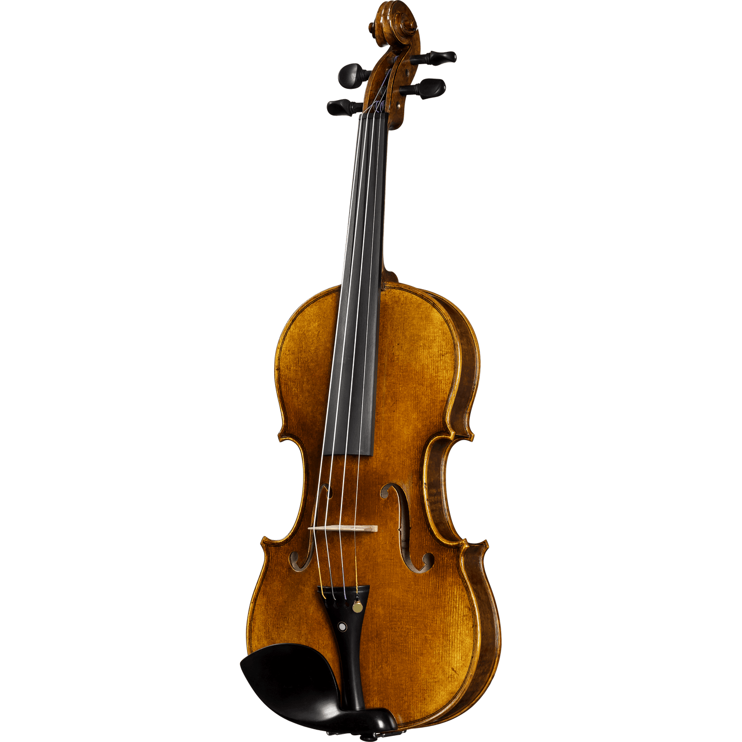 C10 Core Conservatory  Intermediate Violin with Case String Power 