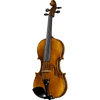 C10 Core Conservatory  Intermediate Violin with Case String Power 
