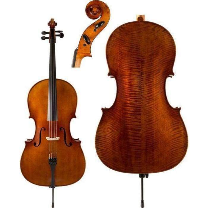 C30 Core Conservatory Cello intermediate with Bag String Power