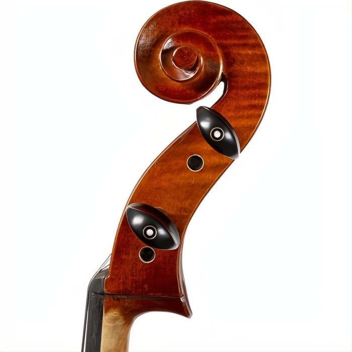 C31 Core Conservatory Intermediate Cello with Bag