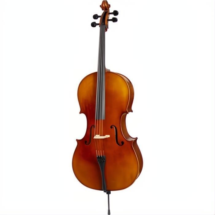 C31 Core Conservatory Intermediate Cello with Bag