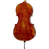 C32 Core Conservatory Intermediate Cello with Bag String Power