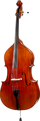 C42 Core Conservatory Advanced Bass with Bag String Power