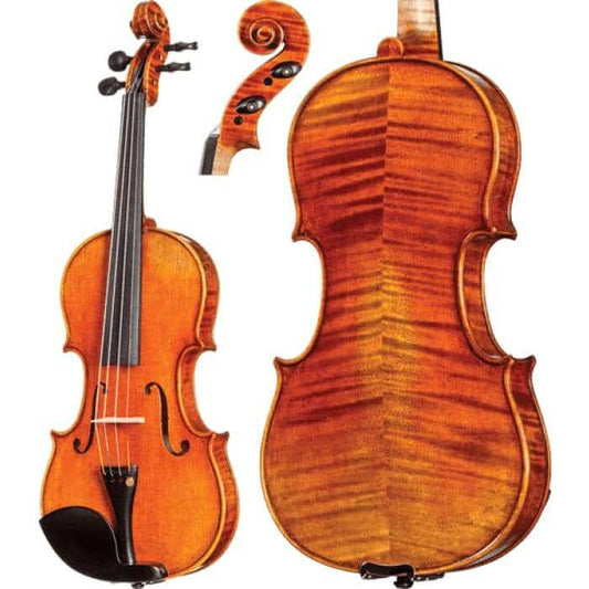 CS1150 Core Select Intermediate Violin with Case String Power