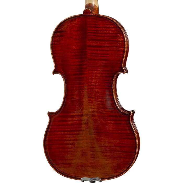 CS2425 Core Select  Advanced Violin with Case String Power