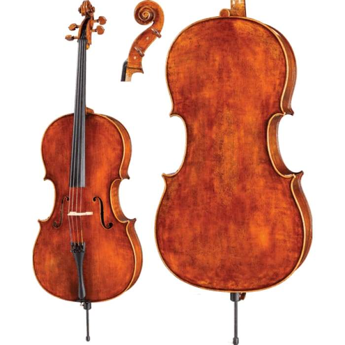 DR10 Dragon Howard Core Advanced Cello with Bag String Power 