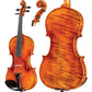 Emiliani Core Select Advanced Violin with Case String Power