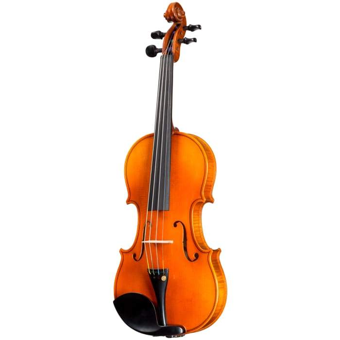 FS604 Franz Sandner Advanced Violin with Case String Power 