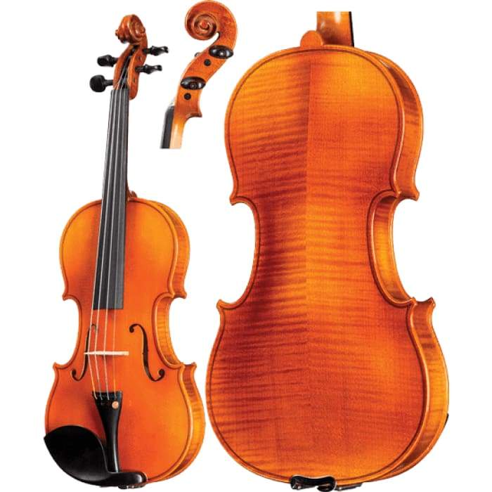 FS604 Franz Sandner Advanced Violin with Case String Power 