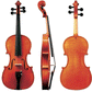 Boehme Gewa Professional Violin with Case String Power - Violin Shop