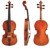 Boehme Gewa Professional Violin with Case String Power - Violin Shop