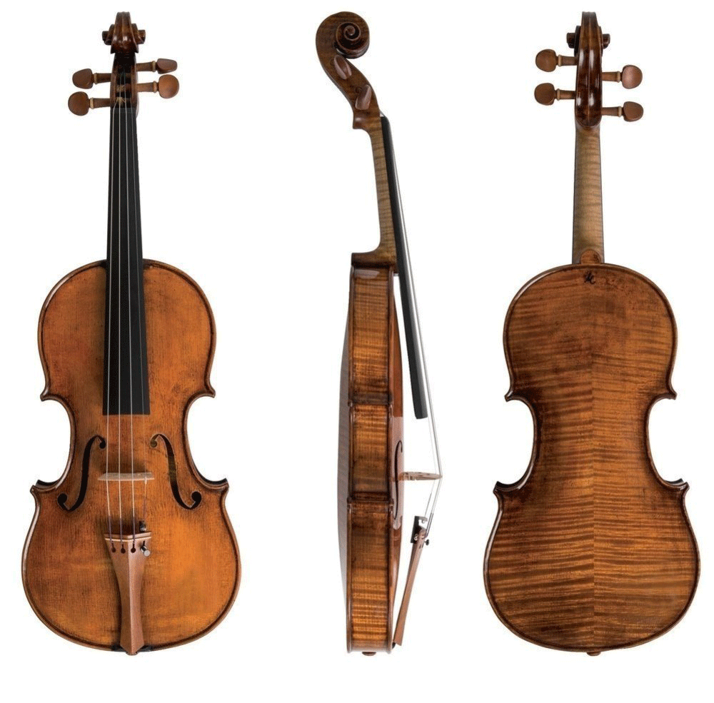 GEWA Soloist Master, Professional Violin with Case String Power - Violin Shop