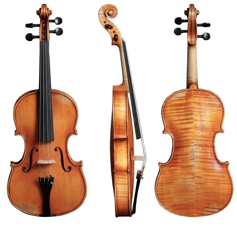 Walther 11 Gewa Professional Viola with Case String Power - Violin Shop