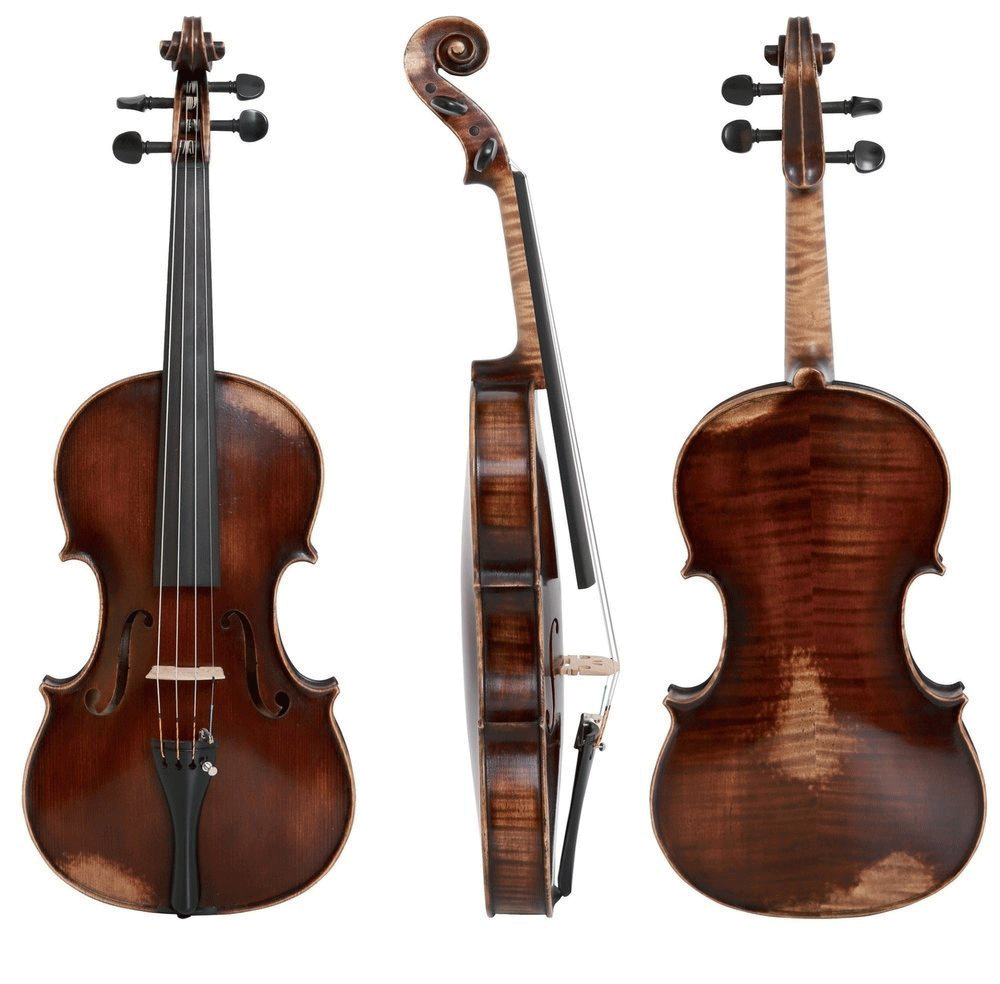 Walther 11 Gewa Professional Viola with Case String Power - Violin Shop
