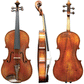 Boehme Gewa Professional Viola  Case String Power - Violin Shop