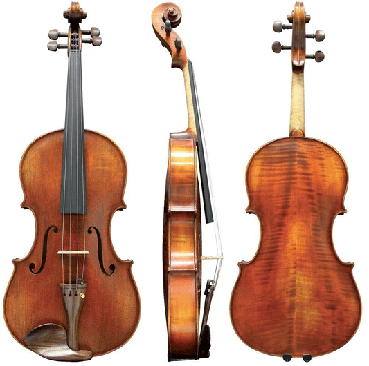 Boehme Gewa Professional Viola  Case String Power - Violin Shop