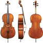 Boehme Gewa Professional Cello with Bag String Power - Violin Shop