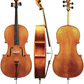Boehme Gewa Professional Cello with Bag String Power - Violin Shop