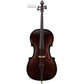 Glasser Carbon Composite Acoustic Cello Outfit with Bow and Case String Power