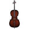 Glasser Carbon Composite Acoustic Electric Cello Outfit with Bow & Case String Power 