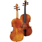 HOF-115 Hofner Professional Violin with Case String Power 