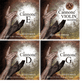 Il Cannone Larsen Violin Strings String Power - Violin Shop