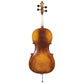 J350 Juzek Beginner Cello Outfit with Bow and Bag String Power