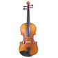 JJ100 Juzek Intermediate Violin Outfit with Bow and Case String Power