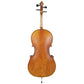 JJ300 Juzek  Intermediate Cello Outfit with Bow and Bag String Power