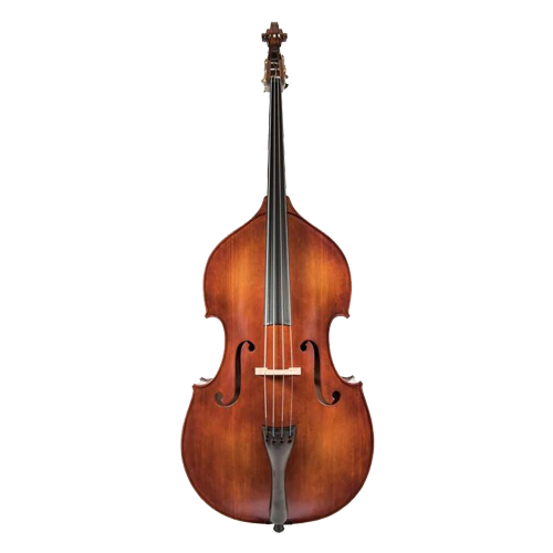 JJ401 Juzek Professional Bass Outfit with Bow and Case String Power - Violin Shop