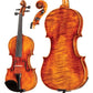 La Cathedral Core Select Advanced Violin with Case String Power 