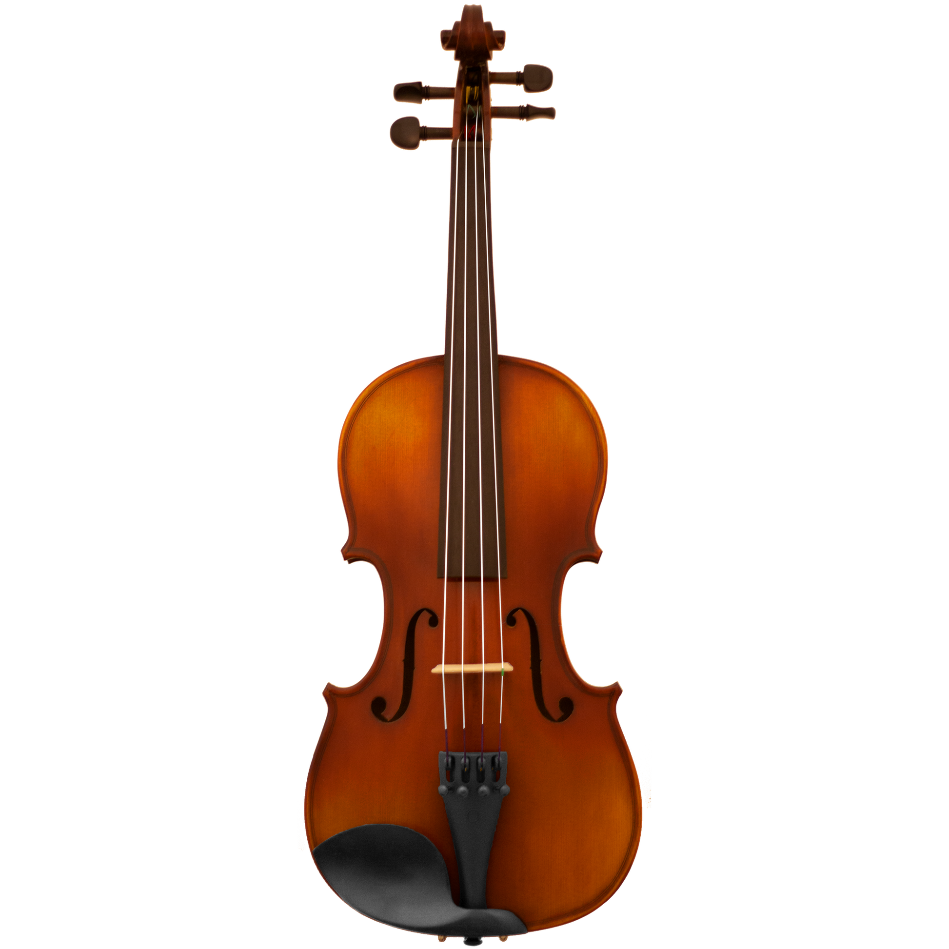 MLS130 Maple Leaf Strings Intermediate Violin Outfit with Bow and Case String Power - Violin Shop