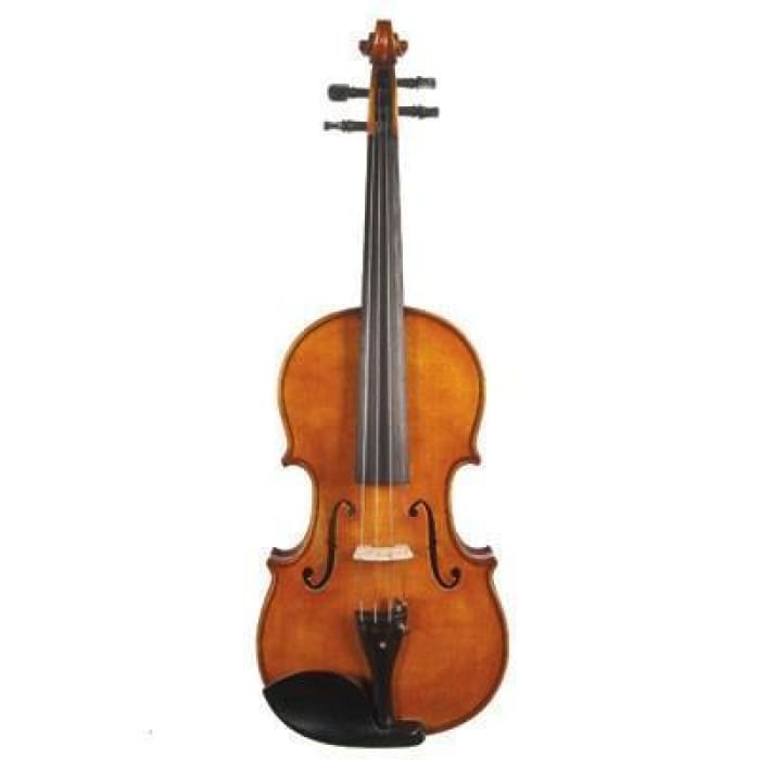 Master Art Juzek Professional Violin with Case String Power