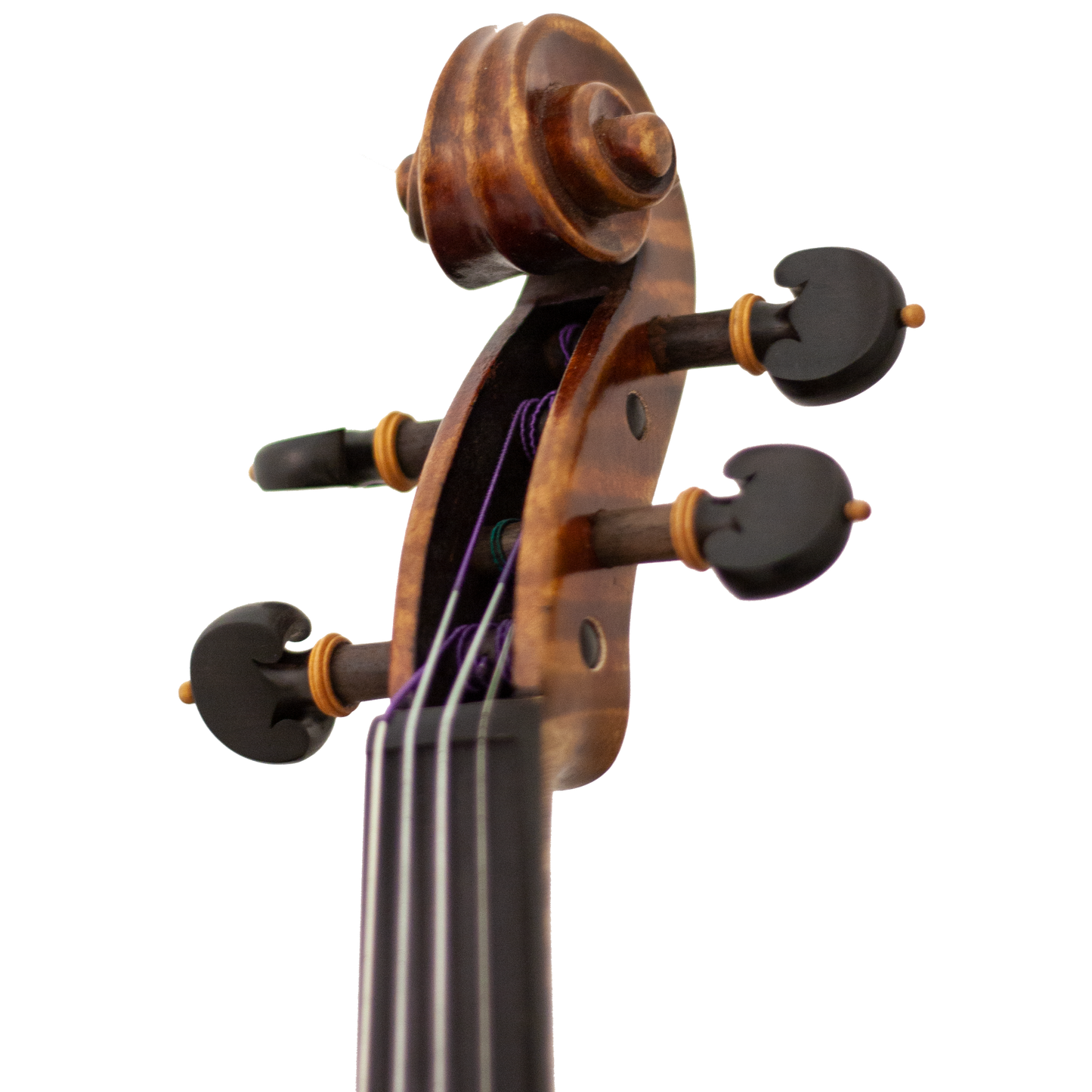 Master Linn Maple Leaf Strings Professional Viola with Case String Power - Violin Shop