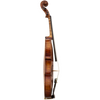 Master Linn Maple Leaf Strings Professional Violin with Case String Power - Violin Shop