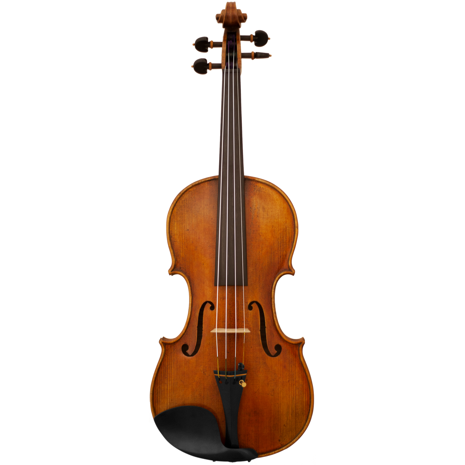 Master Lucienne Maple Leaf Strings Professional Violin with Case String Power - Violin Shop