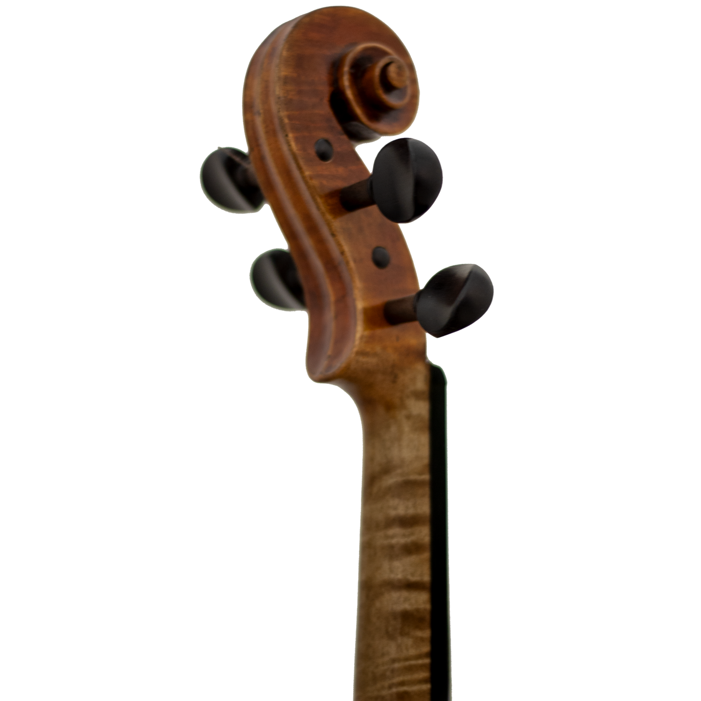 Master Xu Maple Leaf Strings Professional Viola with Case String Power - Violin Shop