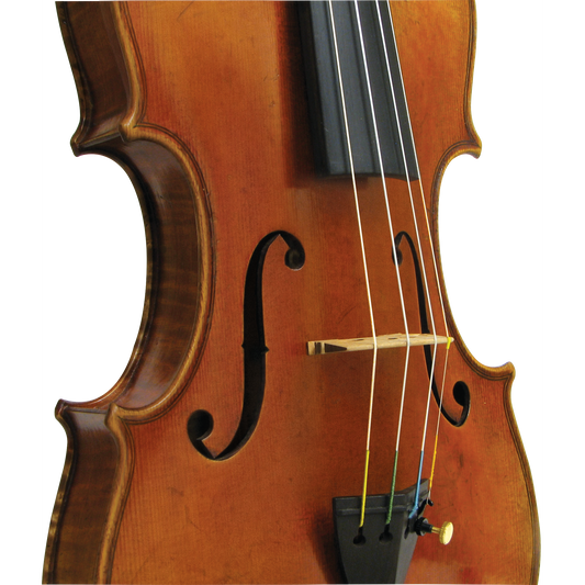 Master Xu Maple Leaf Strings Professional Violin with Case String Power - Violin Shop