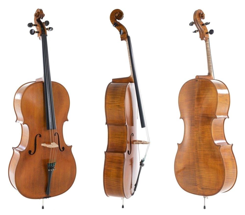 Rubner Gewa Professional Cello with Bag String Power - Violin Shop