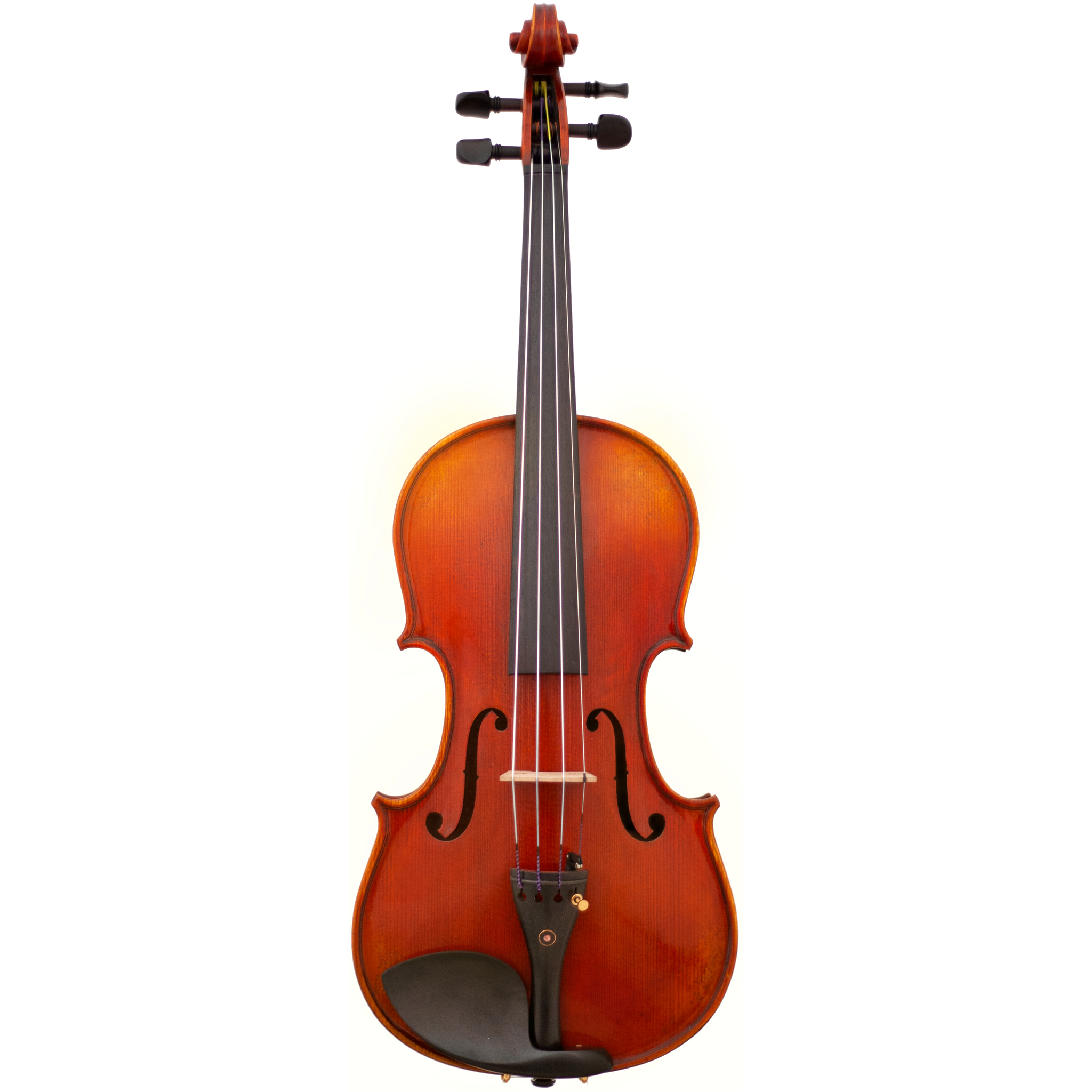 Ruby Maple Leaf Strings Advanced Violin with Case String Power - Violin Shop