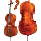 SM30 Core Symphony Advanced Cello with Bag String Power